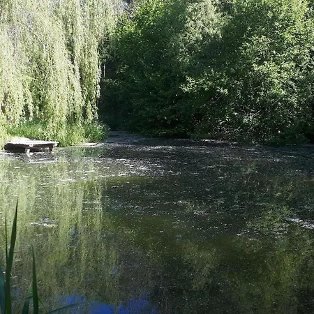 Holiday home In Krimderode Mit Grill, Whirlpool Und Terrasse Nordhausen